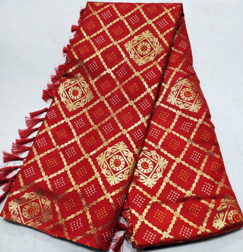 Cotton saree with traditional design